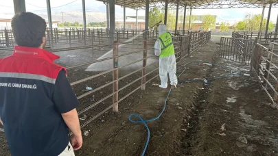 Iğdır’da açılan hayvan pazarı 2 hafta sonra tekrar kapatıldı