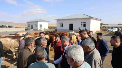 Kars Hayvan Pazarı açıldı