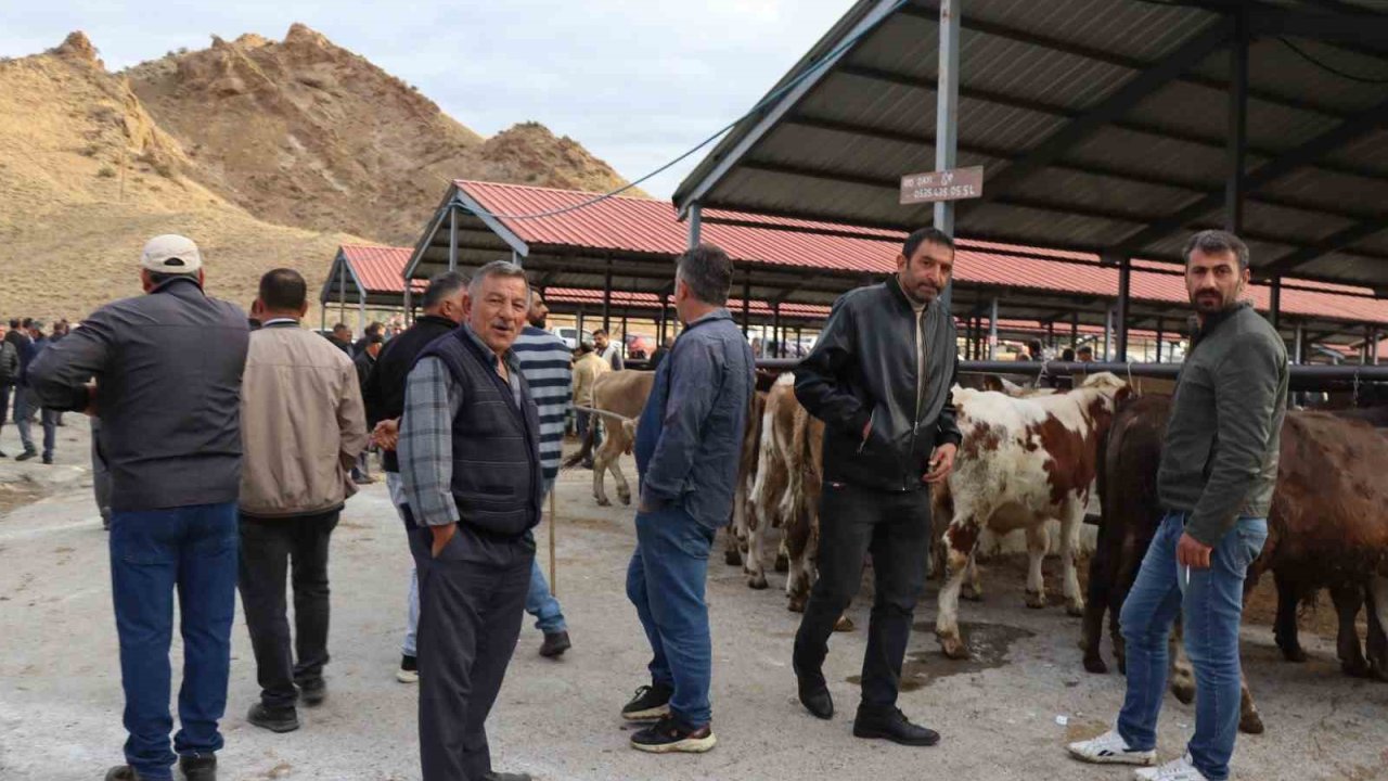 Hayvan pazarı şap hastalığı sonrası tekrar canlandı