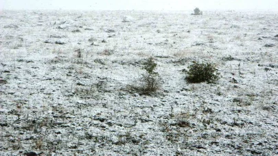 Posof’ta kar yağışı