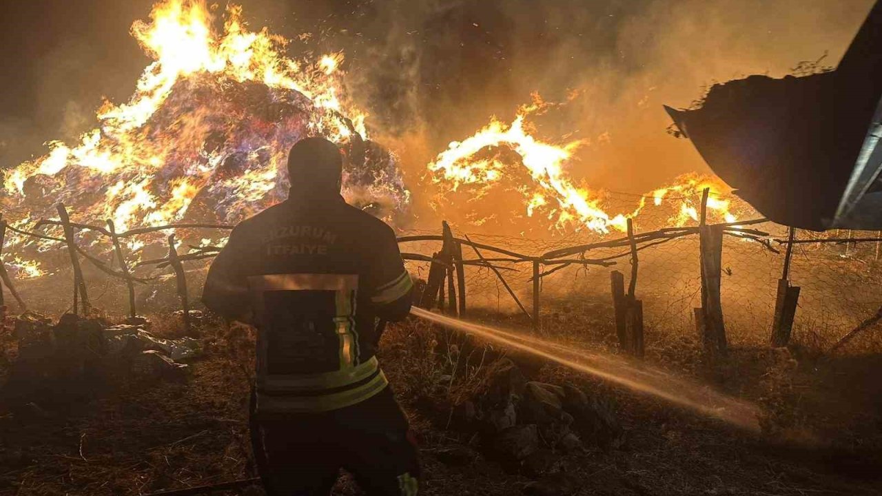 2 bin 500 balya ot kül oldu