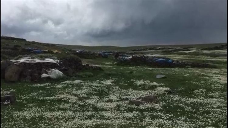 Kars'ta yayla hazırlıkları başladı