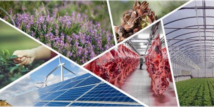 Tarıma dayalı yatırımlara % 50 hibe desteği