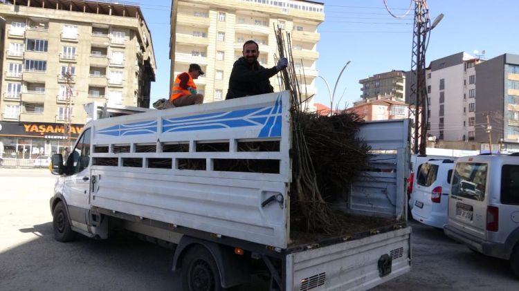 Yüksekova’da yüzde 50 indirimli fidan dağıtımına yoğun ilgi