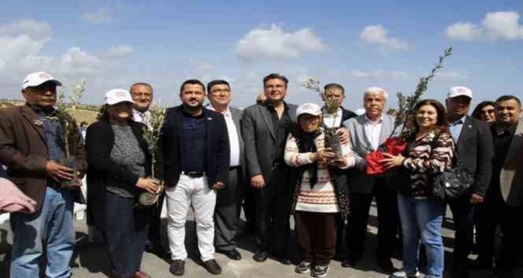 Mersin'de üreticilere 11 bin 100 adet zeytin fidanı desteği sağlandı