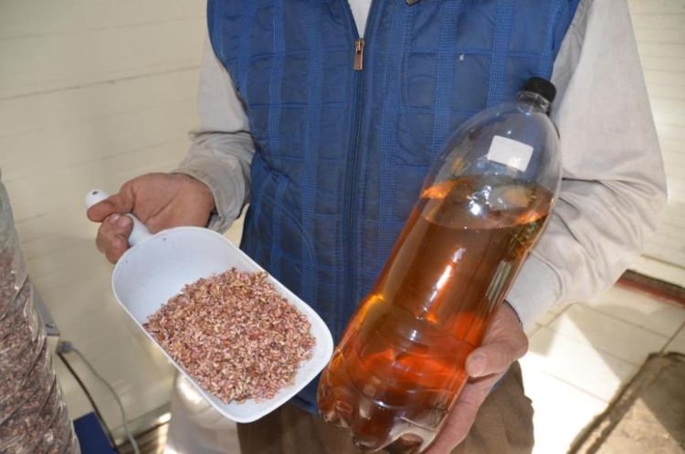 8 kiloluk nar çekirdeğinden 1 kilo yağ çıkartıyor, siparişlere yetişemiyor