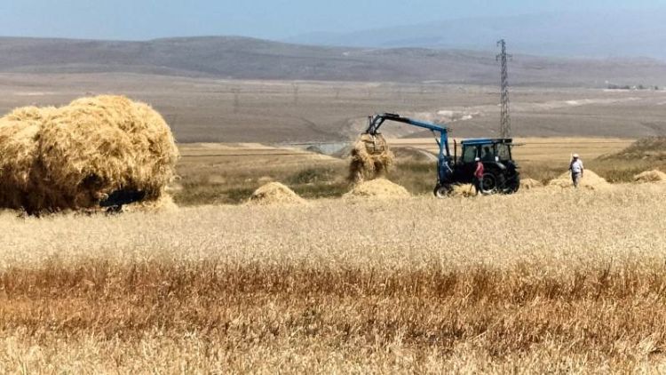 Kars’ta tarımsal girdi fiyatları artarak devam ediyor