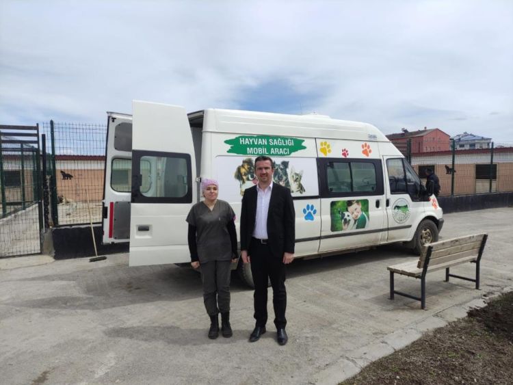 Kars’ta Sokak hayvanlarının tedavileri yapılıyor