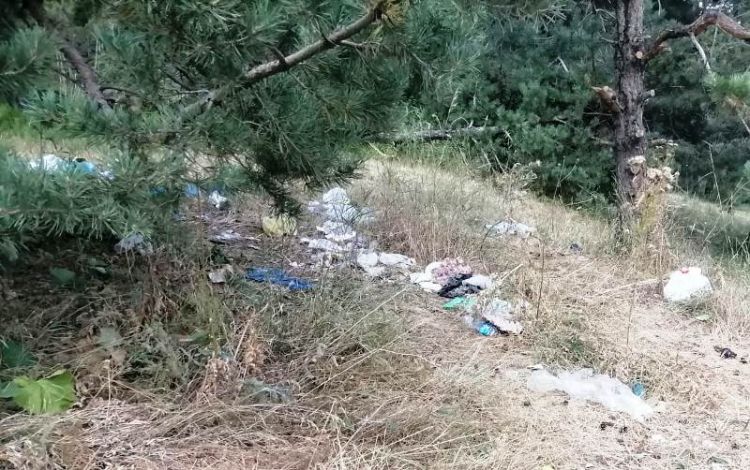 Sarıkamış ormanları çöpe teslim