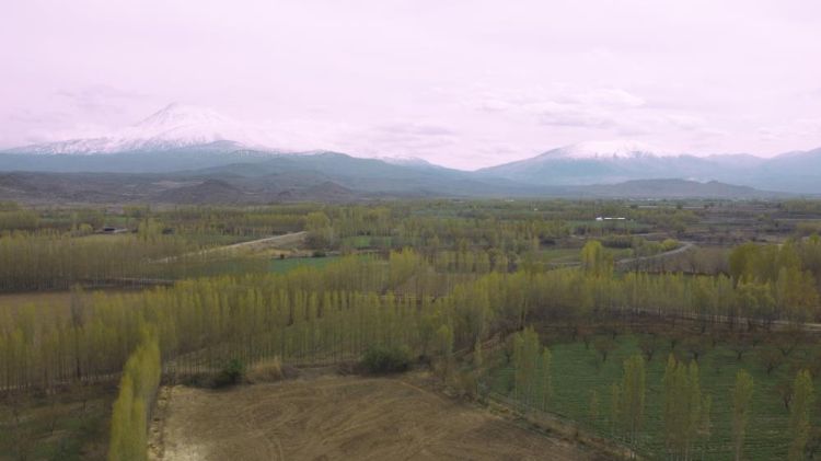 Iğdır'da kış ve bahar bir arada