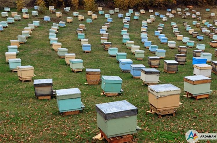 “Arı Ürünleri İşleme ve Paketleme Tesisi “ Projesi hayata geçiriliyor