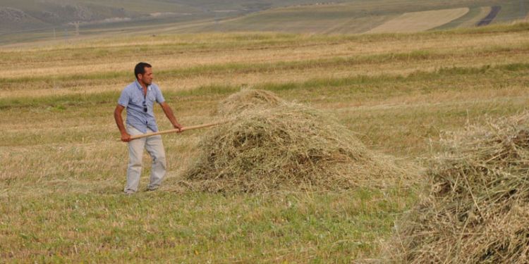 Tarıma dayalı yatırımlara önemli destek