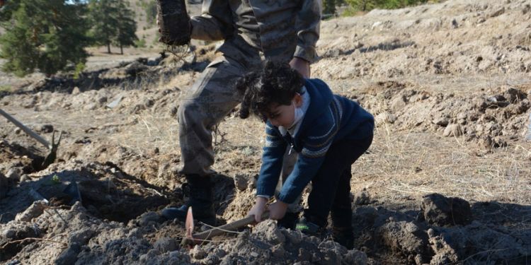 Sarıkamış’ta yaban hayvanları için meyve tohumu ekildi