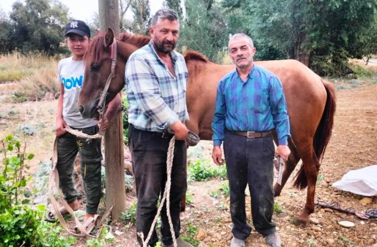 Kars’ta mazot fiyatları çiftçileri atlara yönlendiriyor