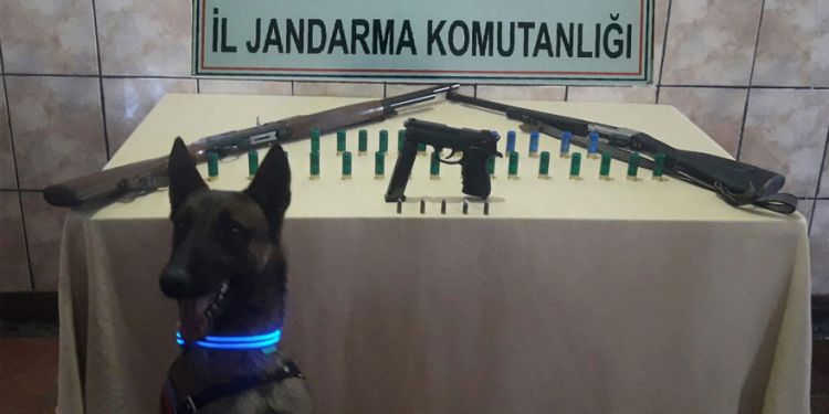 Jandarmadan ruhsatsız silah operasyonu