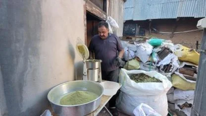 Zetrin baharatı için hummalı çalışma