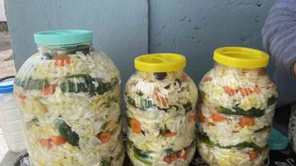 Ağrılı kadınların geleneksel turşu kurma mesaisi başladı