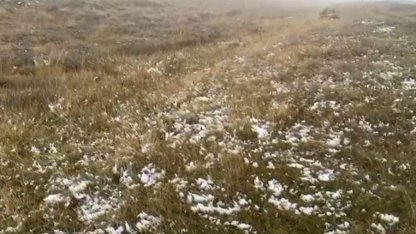 Ardahan’ın yüksek kesimlerinde kar yağışı etkili oldu