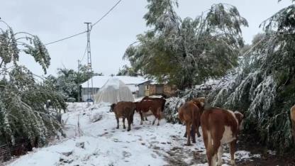Bingöl'ün yüksek kesimleri beyaza büründü