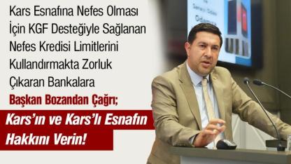 Bozan: Bankalar kredi limitlerini kullandırmaktan kaçınıyor