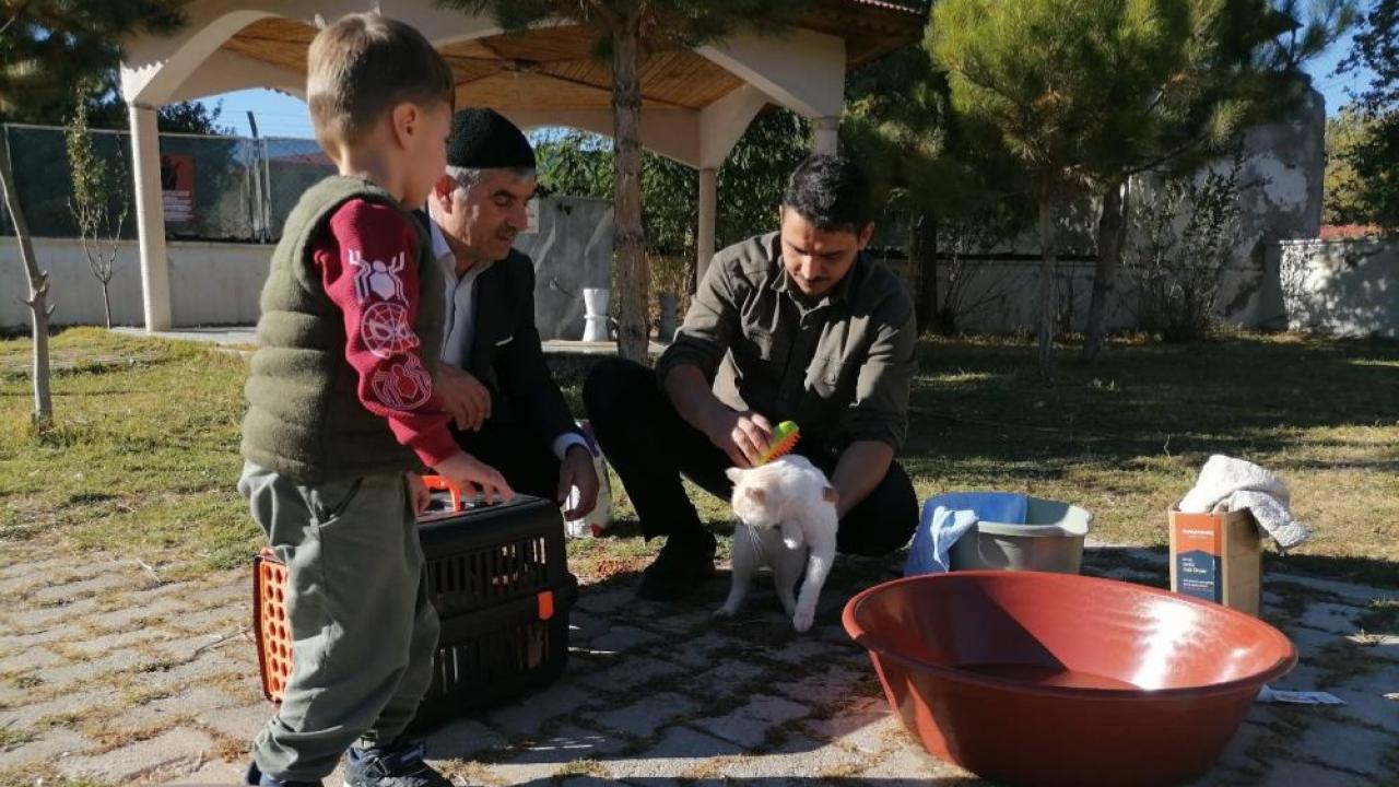 Cami imamı onlarca kediye bakıyor