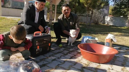 Cami imamı onlarca kediye bakıyor