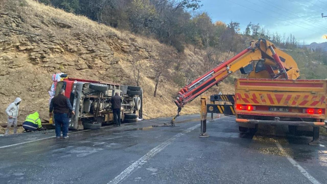 Hayvan yüklü çekici devrildi, 2 hayvan yaralandı