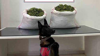 32 kilo kubar esrar ele geçirildi