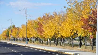Kars’ta sonbaharın renkleri büyülüyor