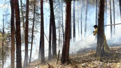 Orman yangınında yaklaşık 1,5 hektar alan zarar gördü