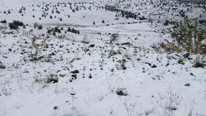 Posof’ta kar yağışı etkili oldu
