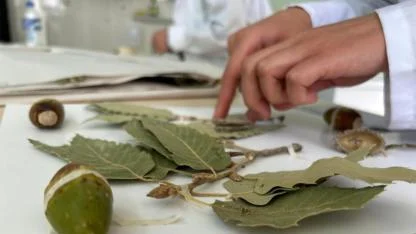VANF Herbaryumu, bilimsel müze niteliğini taşıyor