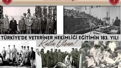 Veteriner hekimlik mesleği 183 yaşında