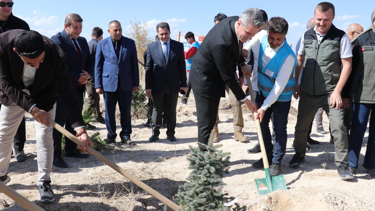 Yükümlüler kendi adlarına fidan dikti