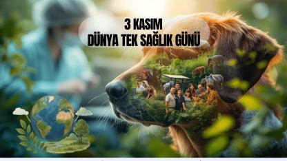 3 Kasım Dünya Tek Sağlık Günü: Tek Sağlık, Tek Gelecek!