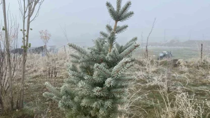 Ağrı’da kırağı etkili oldu