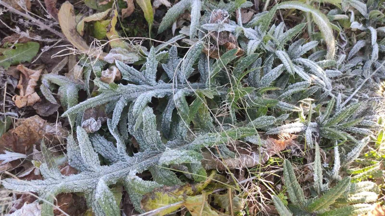 Ardahan’ın Göle ilçesi Türkiye’nin en soğuk yerleşim yeri oldu