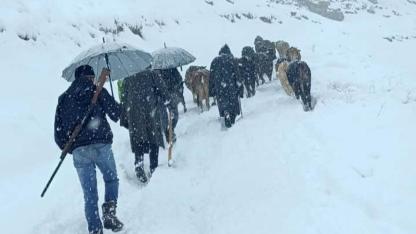 Dağda mahsur kalan koyun sürüsünü köylüler kurtardı