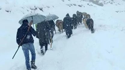 Dağda mahsur kalan koyun sürüsünü köylüler kurtardı