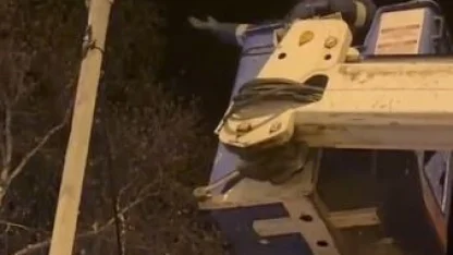 Direkte mahsur kalan kediyi Aras EDAŞ ekipleri kurtardı