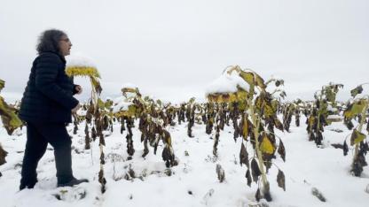 Doğa, benlik ve varoluşa eleştirel bir bakış