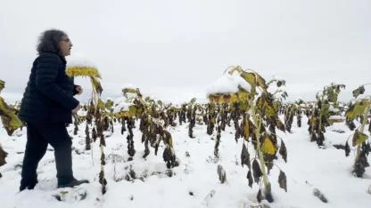 Doğa, benlik ve varoluşa eleştirel bir bakış