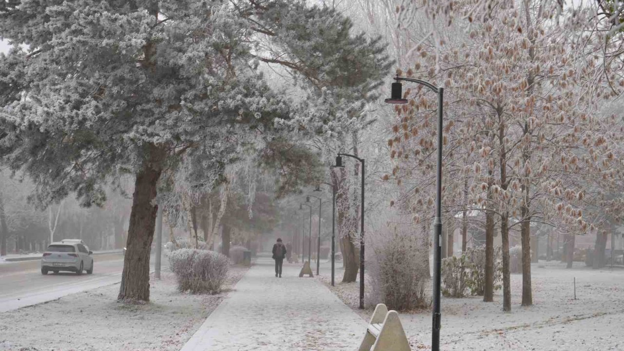 Erzurum güne sis ve kırağı ile uyandı