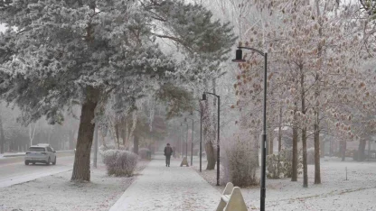 Erzurum güne sis ve kırağı ile uyandı