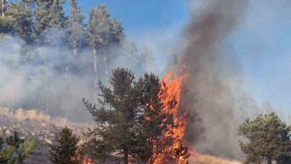 Erzurum’da orman yangını