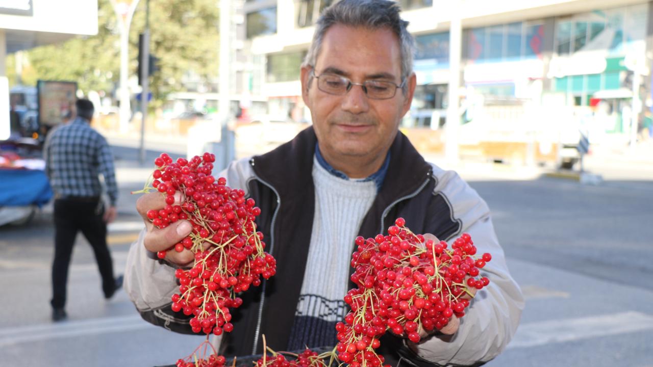 &quot;Gençlik iksiri&quot; gilaburu tezgahlarda yerini aldı