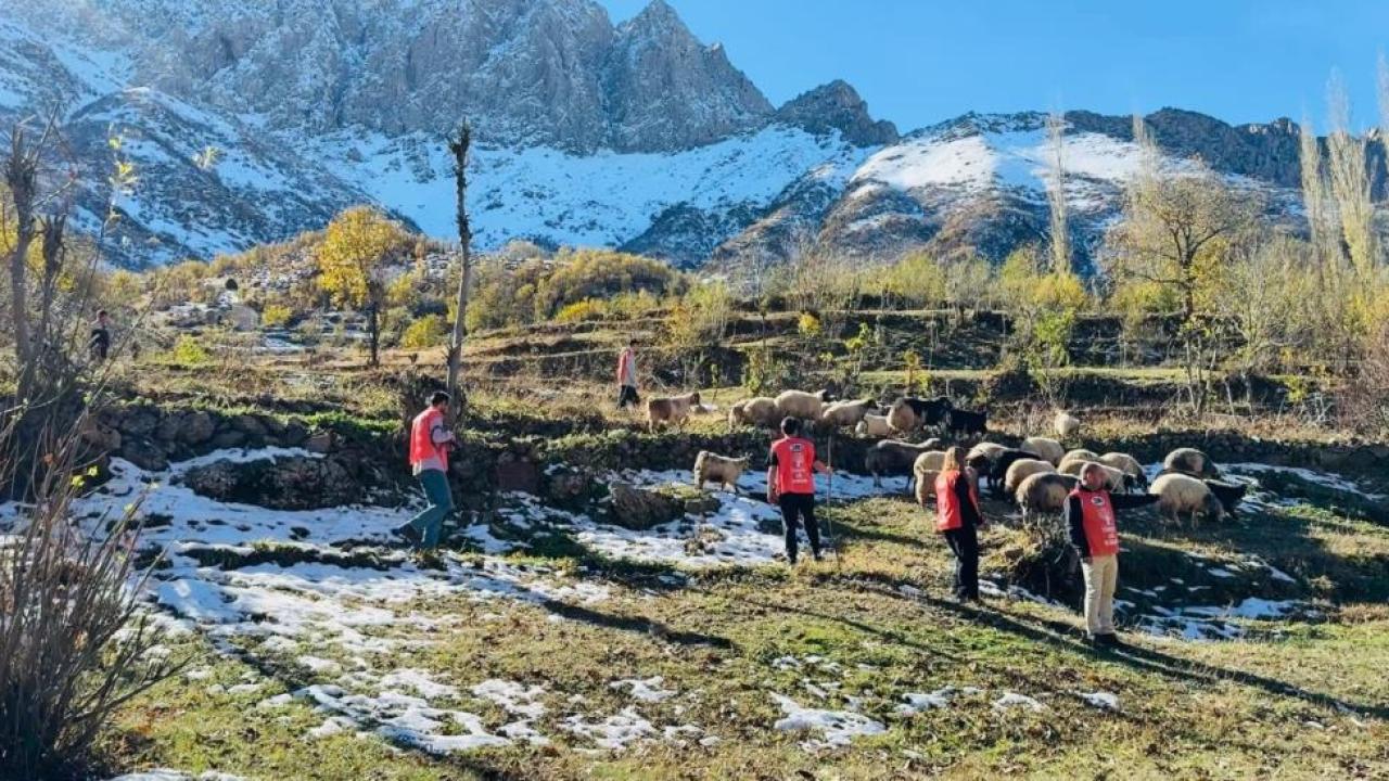 Gönüllüler fidan dikti