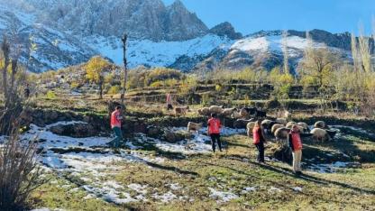 Gönüllüler fidan dikti