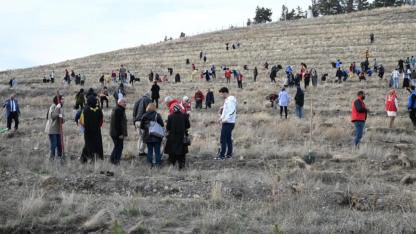 Her bir ünite kan karşılığında 3 fidan dikilecek
