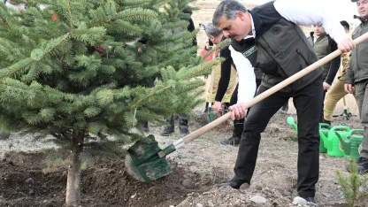 "Hastaya kan, ormana can"